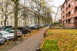 furnished apartement for rent in Hamburg Ottensen/Daimlerstraße.  surroundings 4 (small)