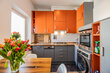 furnished apartement for rent in Hamburg St. Georg/Rostocker Straße. kitchen 6 (small)